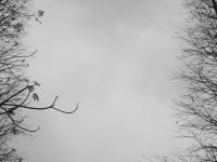 18_298128766163d6ca7462b.jpg
