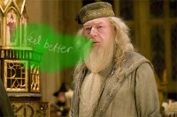 49_stank-dumbledore.jpg